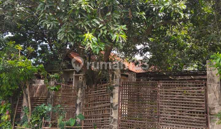 Dijual Rumah Tua Hitung Tanah aja di Lippo Karawaci