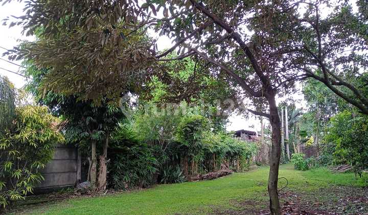 Tanah Di Parung Bogor