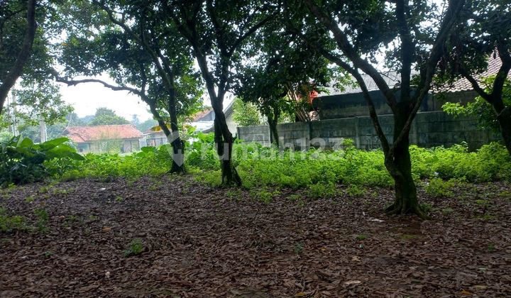 Tanah Luas Datar Sudah Berpagar di Cimangir Estate Tanah Luas Datar Sudah Berpagar di Cimangir Estate