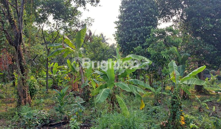 TANAH DI LENTENG AGUNG pasar minggu