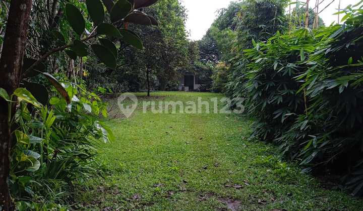 Tanah Luas 2 Ha Sudah Di Pagar Keliling Di Parung