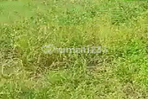 Land for Sale in Lenteng Agung, Jagakarsa, South Jakarta