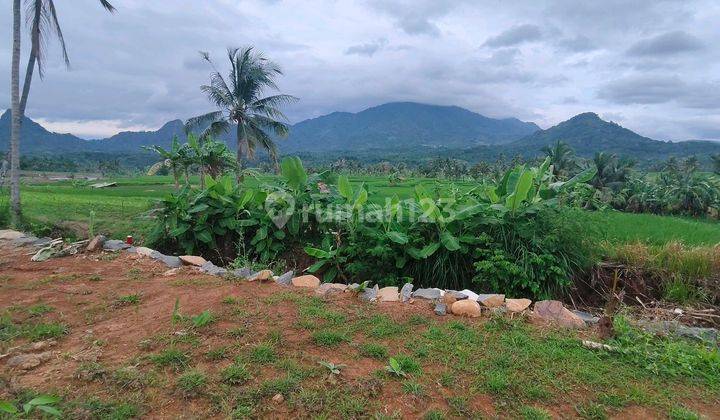 Tanah Kavling Villa View Super Indah Pegunungan Dan Sawah Lokasi Di Pusat Daerah 2