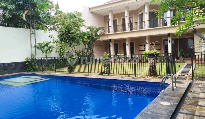 Jual Rumah Executive Paradise Lt 700 Lb 500 Harga 17 M Nego