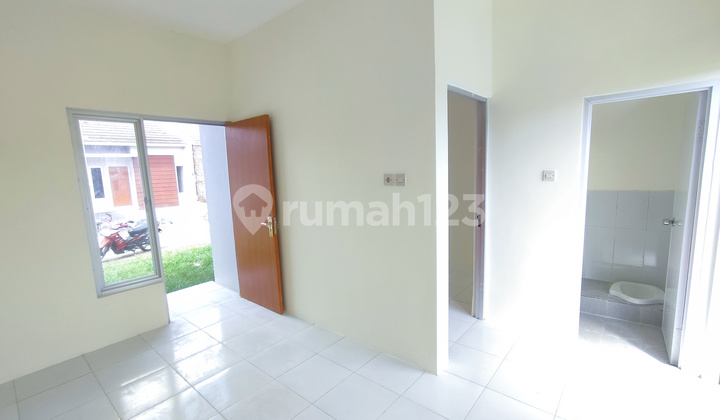 de Mandevilla Deluxe (Subsidi)