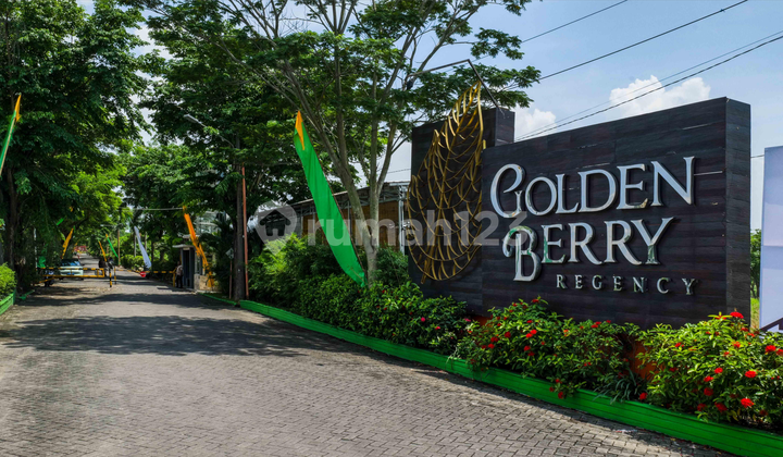 Golden Berry Regency 1