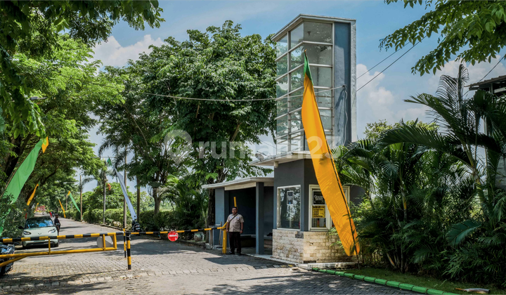 Golden Berry Regency 3