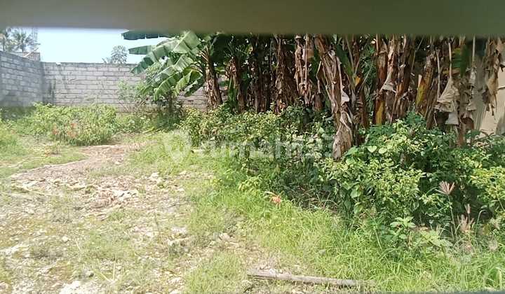 For Rent Fast! Strategic Land with SHM on Jl. Raya Buwit, Kediri - Long-Term 25-Year Investment