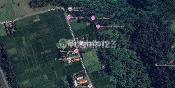 Golden Opportunity! Over-contract of a 2-Hectare Tourism Land Ready for Operation in Bongkasa, Bali