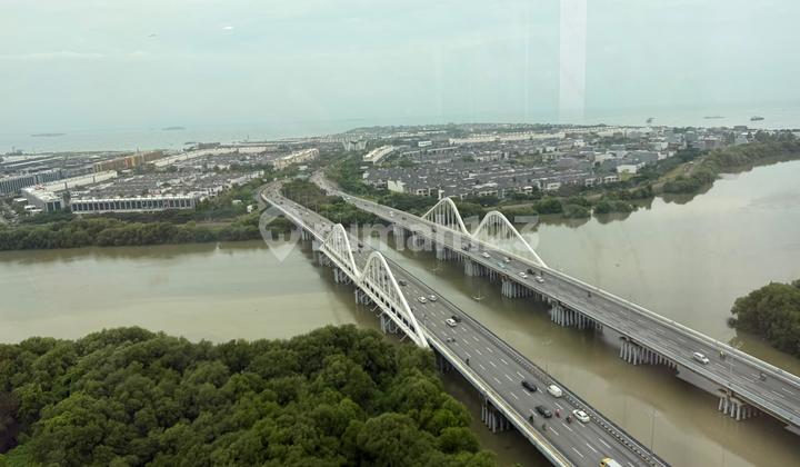 Di Jual Barang Langka Offc Gold Coast Pik Di Jual Barang Langka Offc Gold Coast Pik