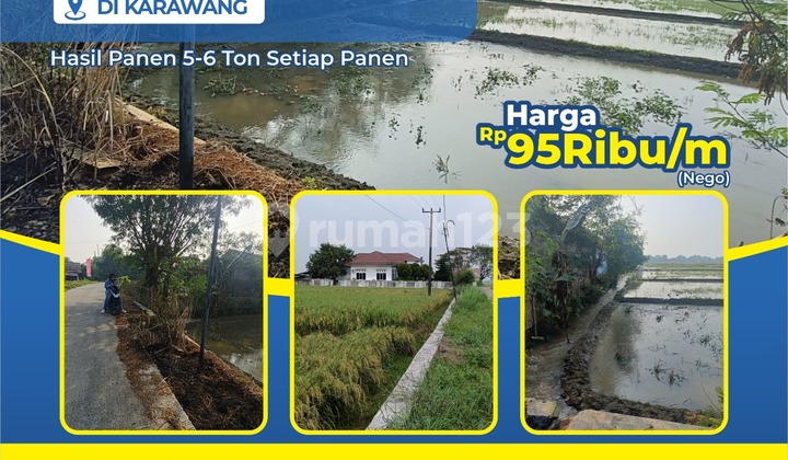 Di Jual Sawah Produktif Shm Lokasi Dpn Jln Utamma Setiap Panen Menghasilksn 5 Ton Gabah