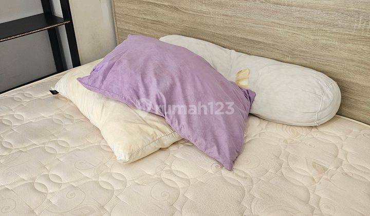 Apartemen Studio Di Springwood Apartemen 1