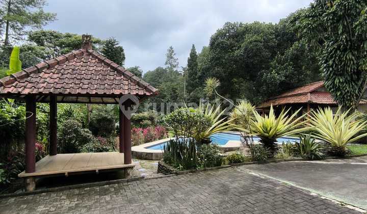 Villa di Jalan Taman Safari (.Pinggir Jalan Raya) Cisarua Kab Bogor Jawa Barat