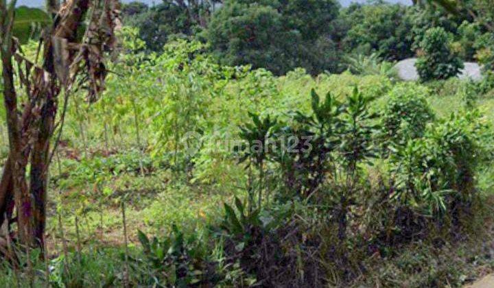 Tanah darat di Cileunyi Bandung dekat Tol Padaleunyi Bandung 2