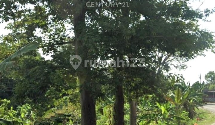 Dijual Tanah Lahan Kosong di Cikande Rangkasbitung Serang Banten