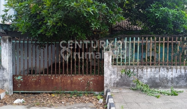 Rumah Tempat Usaha Dengan Tanah Luas Di Jalan Raya, Metro Lampung 2