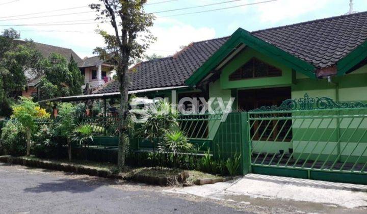 Villa Gunung Buring Malang 1