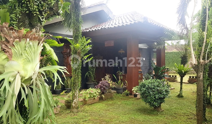Dijual Cepat! Rumah Estetik di Cikeas Cibubur Bogor dengan Luas Tanah Besar Seperti Villa! Siap Huni! Rumah SHM Bagus di Cikeas