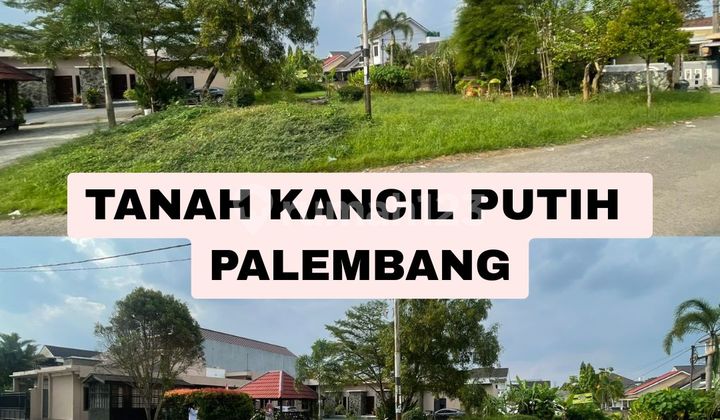 JUAL CEPAT TANAH KANCIL PUTIH PALEMBANG