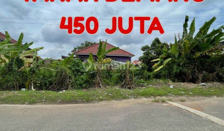 TANAH MACAN KUMBANG DEMANG PALEMBANG 2