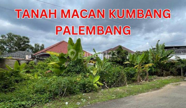 TANAH MACAN KUMBANG PALEMBANG  2