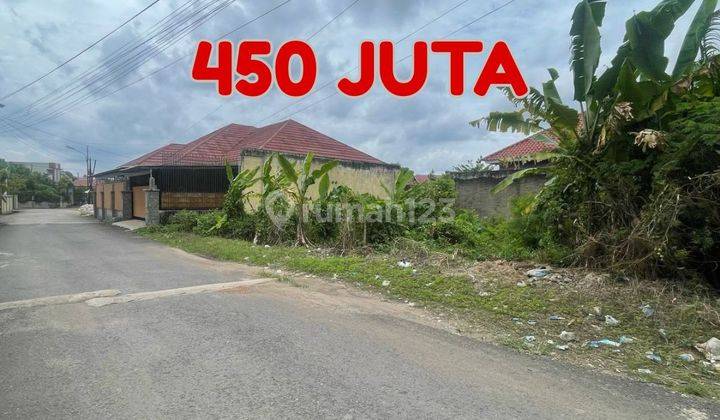 TANAH MACAN KUMBANG DEMANG PALEMBANG 1