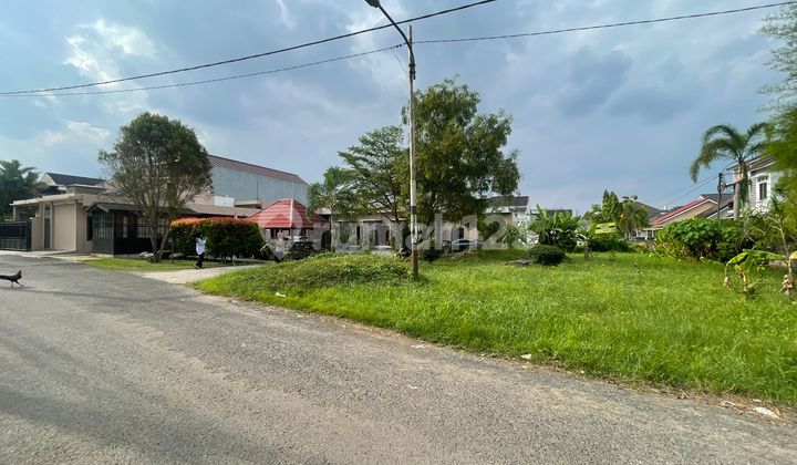 JUAL CEPAT TANAH KANCIL PUTIH PALEMBANG