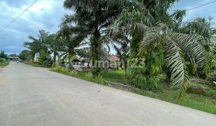 Tanah talang jambe dekat bandara palembang Tanah talang jambe dekat bandara palembang