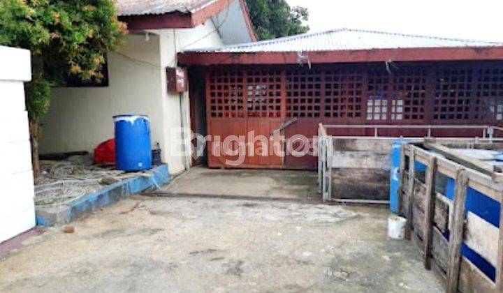 DIJUAL CEPAT RUMAH CANTIK DAN MENARIK DI MALUKU AMBON 2