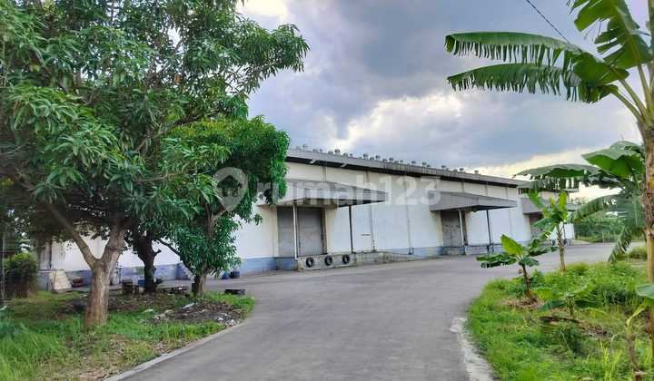 Dijual Cepat Gudang Beear Dan Luas Sekali Lokasi Strategis Di Bitung Tangerang