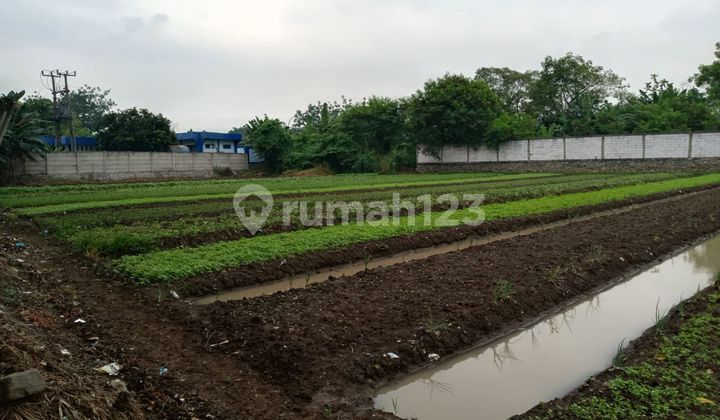 Land Plot for Sale in Teluknaga Tangerang 1 Hectare Roadside