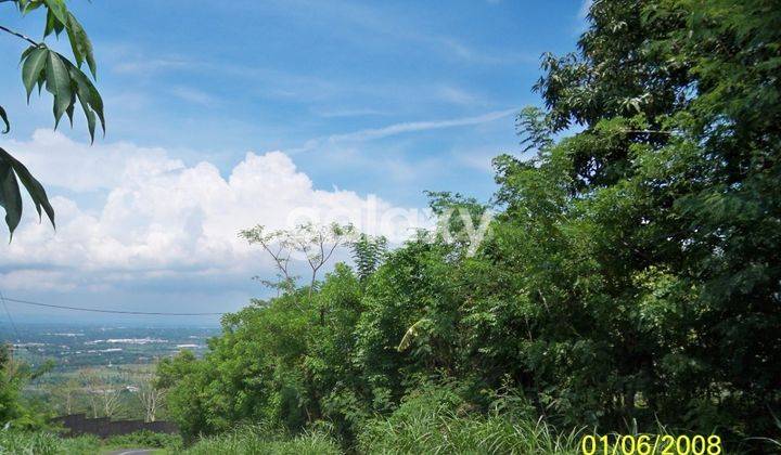 lahan tanah di Nongko Jajar,Tutur,Pasuruan 1