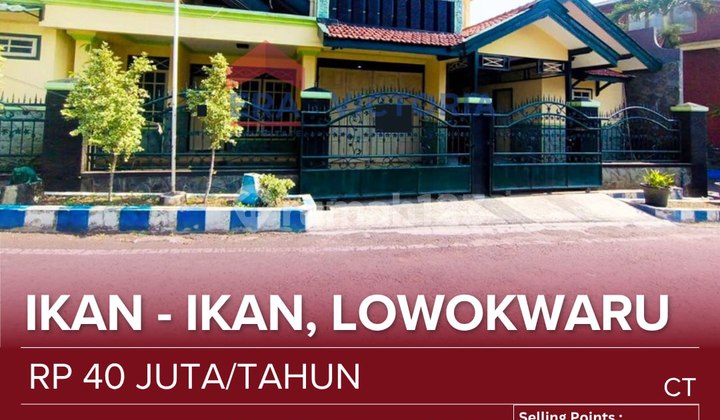 Sewa.rumah Startegis Dekat Kampus Lowokwaru 1