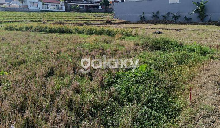 TANAH TIBUBENENG BADUNG, BALI 1