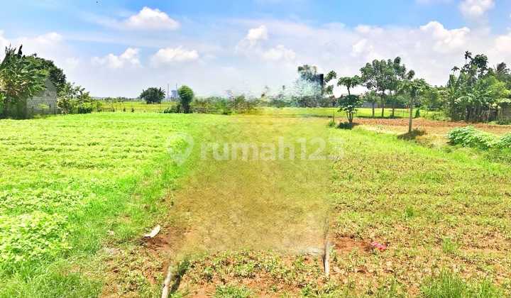 Dijual Tanah di Babelan Bekasi Dijual Tanah di Babelan Bekasi