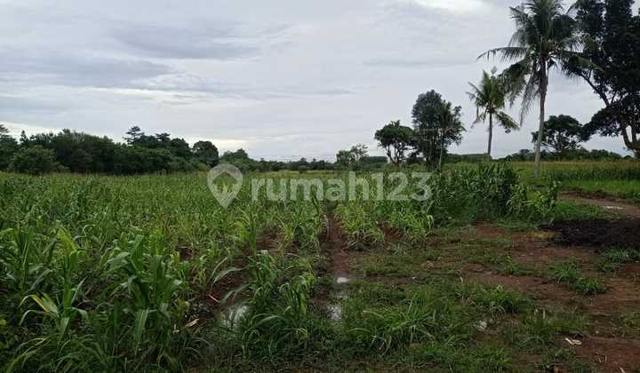 Industrial Land for Sale in Serang, Banten Industrial Land for Sale in Serang, Banten