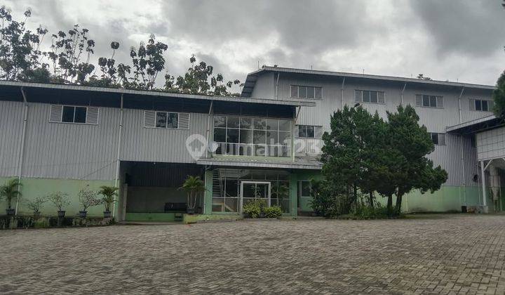 Pabrik Pengolahan Kernel Masih Beroperasi Include Mesin Dan Furnished Kantor 2