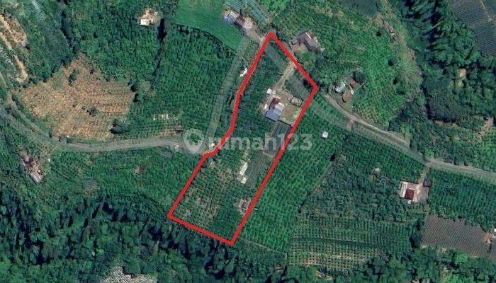 JUAL TANAH MURAH DI BALI  2