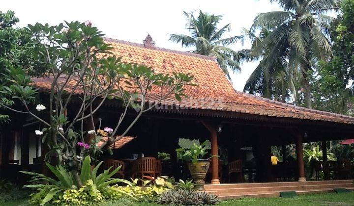 Rumah Mewah Cantik Siap Huni Dan Bangunan Lebak Bulus 2