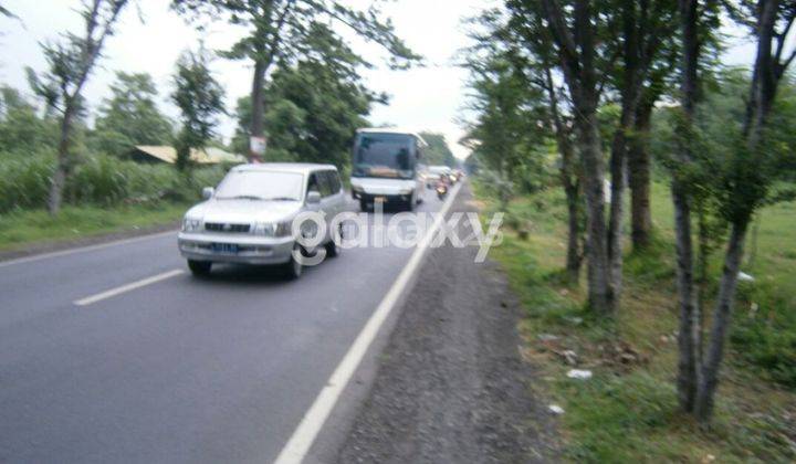 Tanah Daerah Jalan Raya Probolinggo Lumajang 2