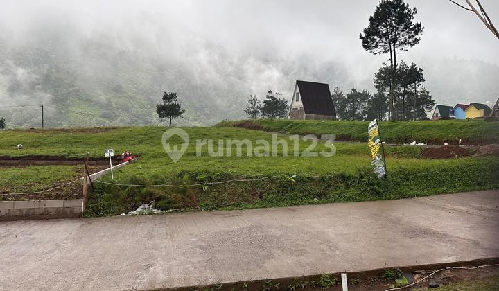 Jual Cepat Tanah Dekat Tempat Wisata Di Ketinggian 1000 Nbpl