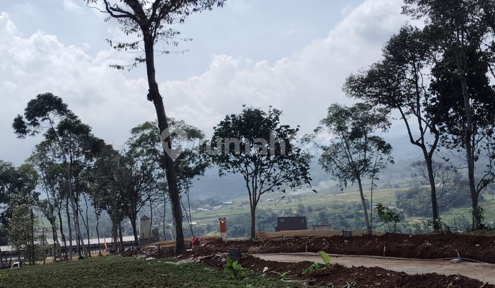 SHM Land Near Tourist Area Puncak Route 2 Bogor SHM Land Near Tourist Area Puncak Route 2 Bogor