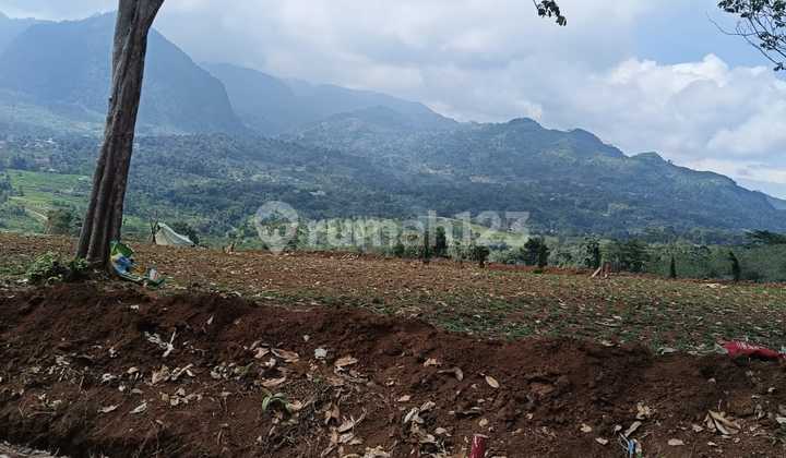 Tanah Murah Lokasi Strategis Bebas Banjir Udara Sejuk Free SHM Tanah Murah Lokasi Strategis Bebas Banjir Udara Sejuk Free SHM