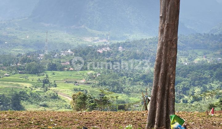 Tanah Murah Lokasi Strategis Udara Sejuk Bebas Banjir Free SHM