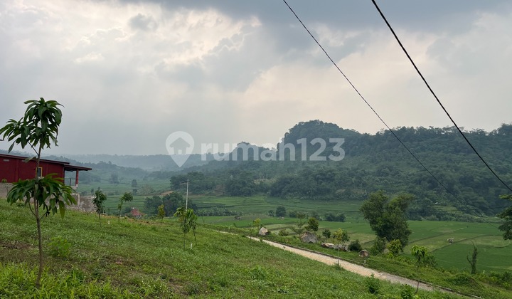 Di Jual Cepat Tanah Murah Lokasi Strategis Dekat Jakarta  1
