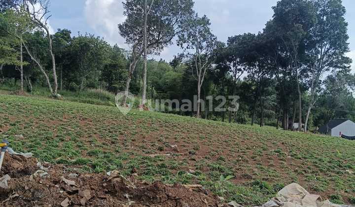 Affordable Land Suitable for Investment Strategic Location Flood-Free