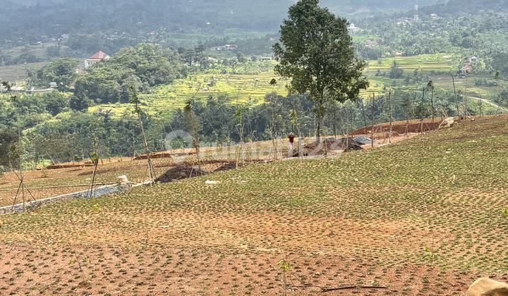 Cheap Land Near Jakarta with SHM Certificate, Paved Road, Flood-Free Cheap Land Near Jakarta with SHM Certificate, Paved Road, Flood-Free