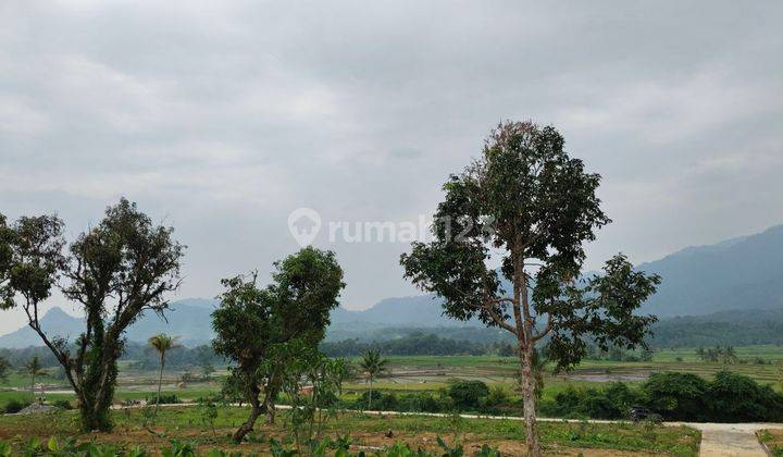 Di Jual Cepat Tanah Murah View Pegunungan Dekat Aliran Sungai 2