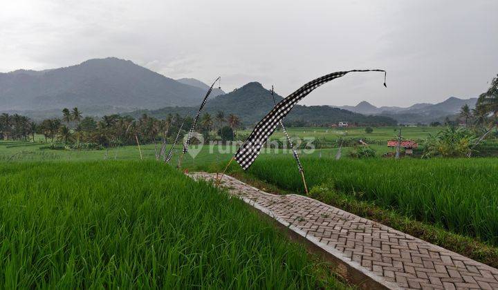 Di Jual Cepat Sawah Produktif Siap Panen Dekat Bekasi 1