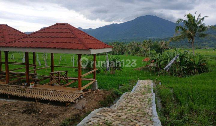 Di Jual Cepat Sawah Murah Pinggir Jalan Dekat Kramat Jati Jakarta 1